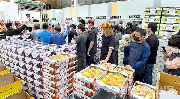 새단장한 수원농수산물도매시장에서 경매가 진행되고 있다. [사진=새수원신문]