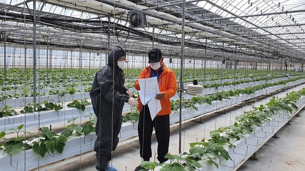 경기도농업기술원 ‘경기권역 스마트팜 현장센터 농가 맞춤형 컨설팅’에 참여한 농가 90%가 만족한다고 응답했다. [사진=경기도]