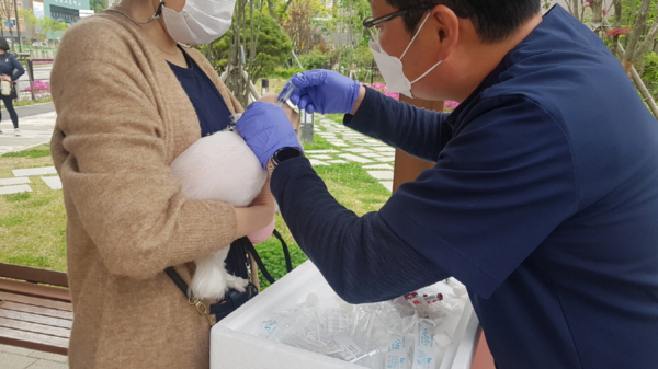 고양시 향동 물향기공원에서 반려견 대상 광견병 예방접종을 하고 있는 모습 [사진=고양시]