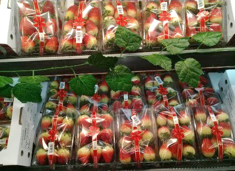 용인팜㈜에서 수출한 딸기가 해외 매장에 진열되어 있다