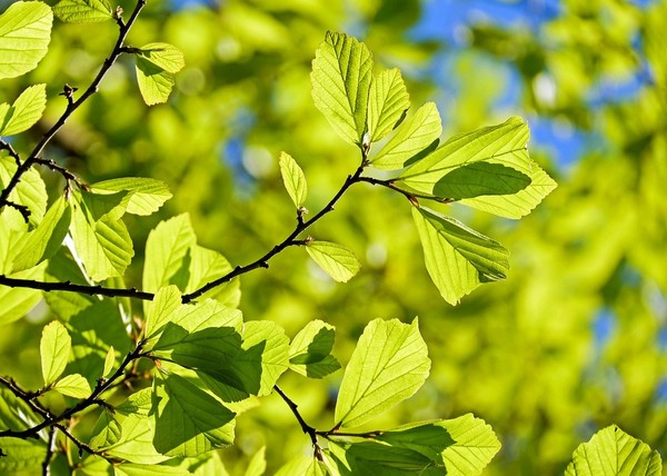 [사진=pixabay]