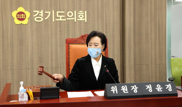 경기도의회 교육기획위원회 정윤경 위원장 [사진=경기도의회]