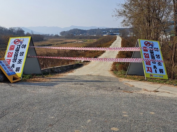 안성시, 고병원성 조류인플루엔자 차단방역 강화[사진=안성시]