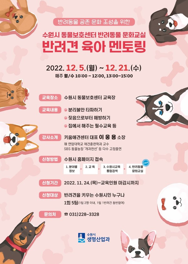 홍보물[사진=수원특례시]