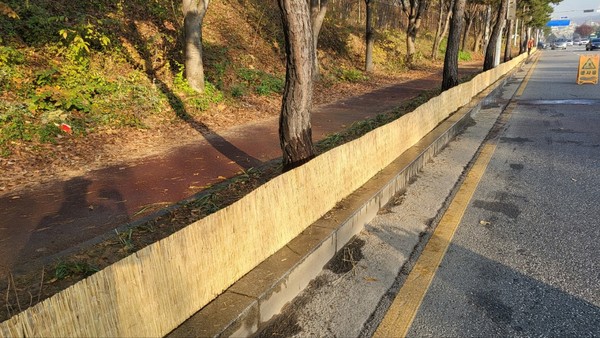 가로수 제설제 차단막을 설치한 띠녹지.[사진=수원특례시]