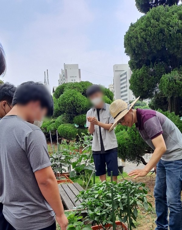 학교교과연계 치유농업 사업 평가회 개최[사진=평택시]