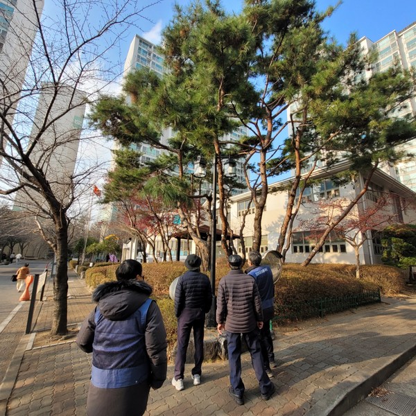 공동주택 민간조경 컨설팅을 하고 있다.[사진=수원특례시]
