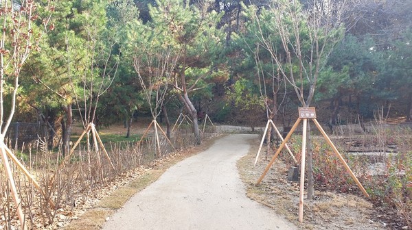 숙지공원 일부가 생태숲으로 준공된 모습.[사진=수원특례시]