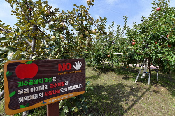 수원시 과수공원[사진=수원특례시]