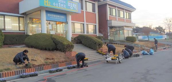 바르게살기운동 현덕면위원회, 봄맞이 봄꽃 식재[사진=평택시]