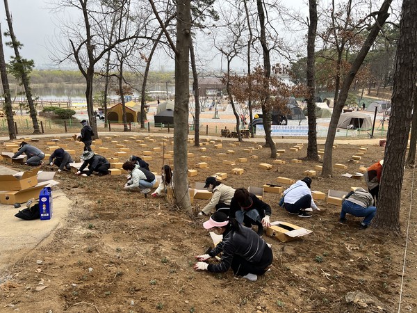 도시농부들, 내리 관광지 구절초 동산 조성 봉사활동[사진=평택시]