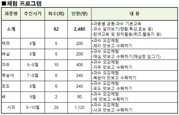체험 프로그램[사진=수원특례시]