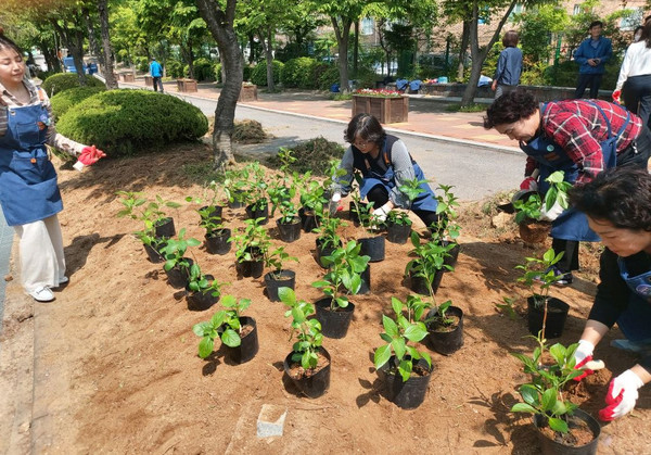 조원초등학교 녹지대에 정원을 조성하고 있다.[사진=수원특례시]