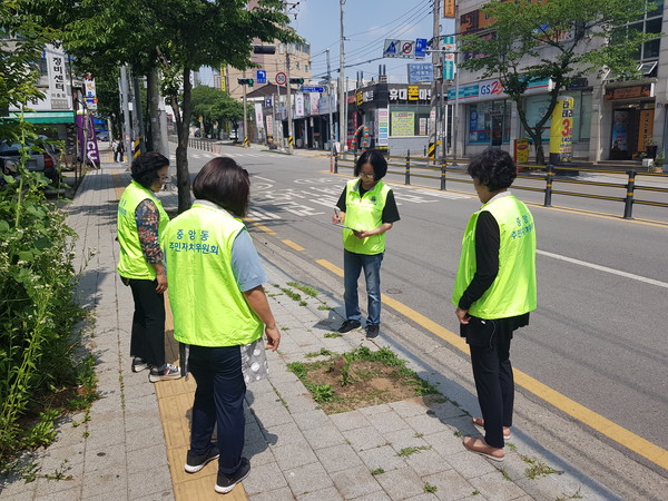 중앙동 주민자치위원회, 쾌적한 가로환경 조성 위한 가로수 고사목 전체 조사[사진=평택시]