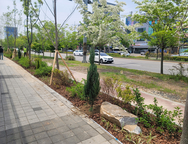 가로숲길조성공사(경수대로)[사진=수원특례시]