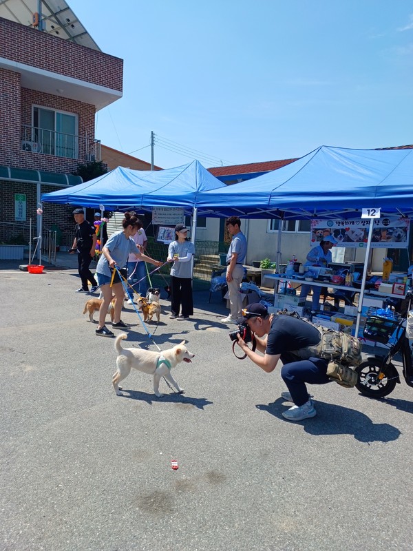지난17일 오후, 아산시 둔포면  둔포싸전거리  전통시장에서 평택시 동물보호명예사 '최서영(감시원)'이 특별한 바자회 열어 화제가  되었다.[사진=김철배 기자]