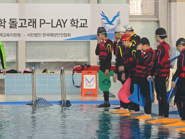 돌고래 P-LAY학교 운영 사진