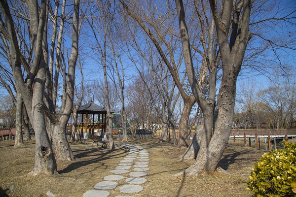 평택 바람새마을 소풍정원 [사진=경기관광공사]