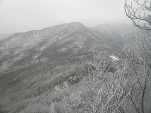 겨울철 광교산에 눈이 내린 모습.[사진=수원특례시]